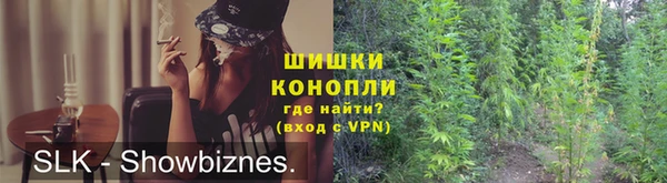 спиды Богданович
