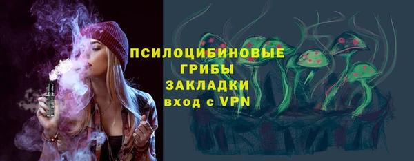 спиды Богданович