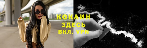спиды Богданович