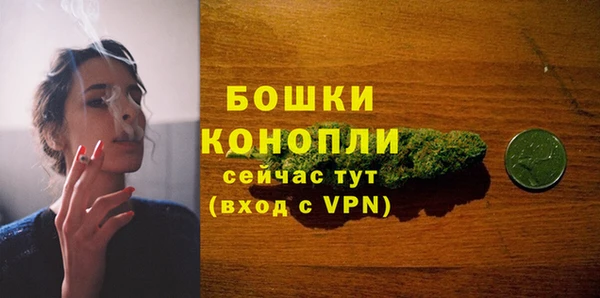 прущая мука Богородицк