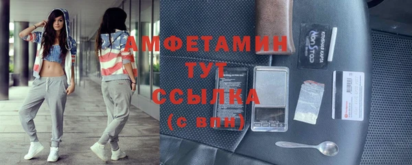 спиды Богданович