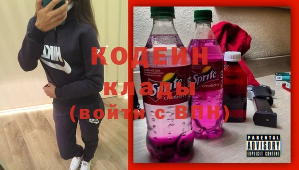спиды Богданович