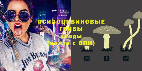 спиды Богданович
