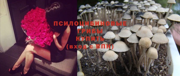 спиды Богданович